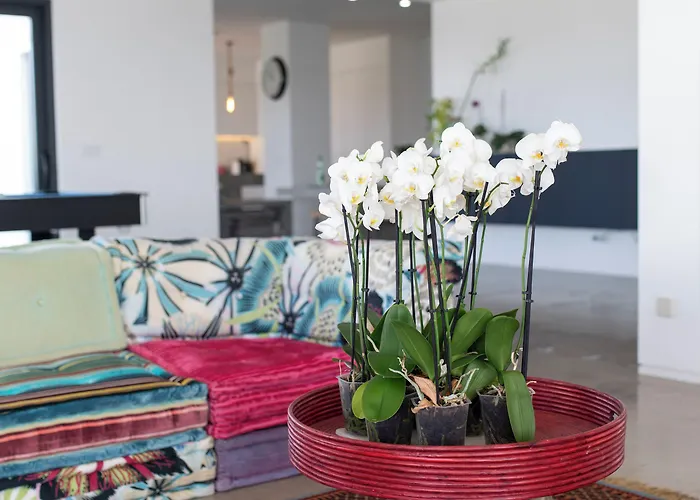 Guest house Bica Vista